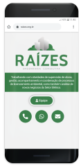 Exemplos_CO_raizes