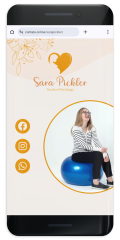 Exemplos_CO_sarapickler-2
